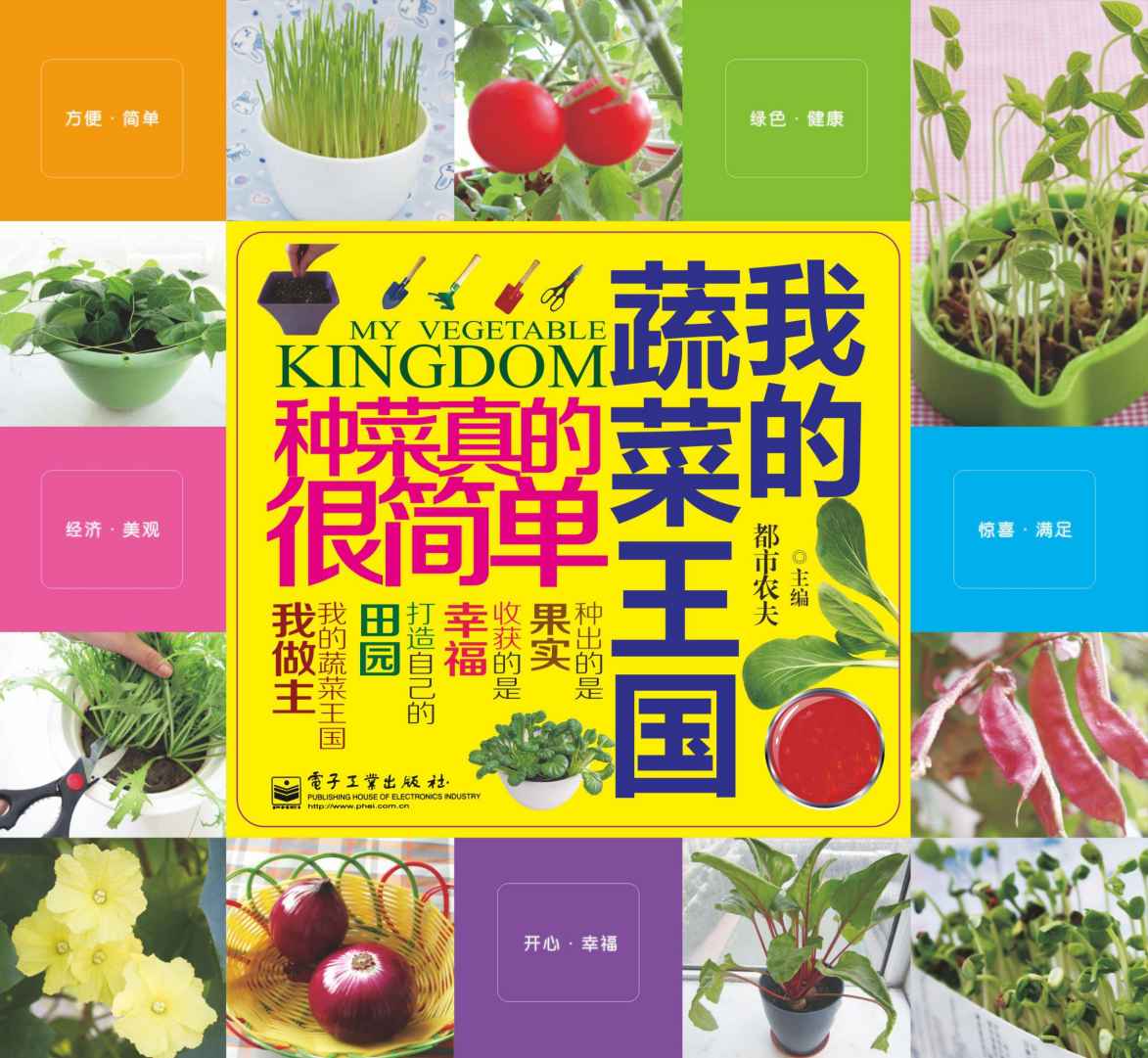 我的蔬菜王国
