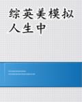 综英美模拟人生中