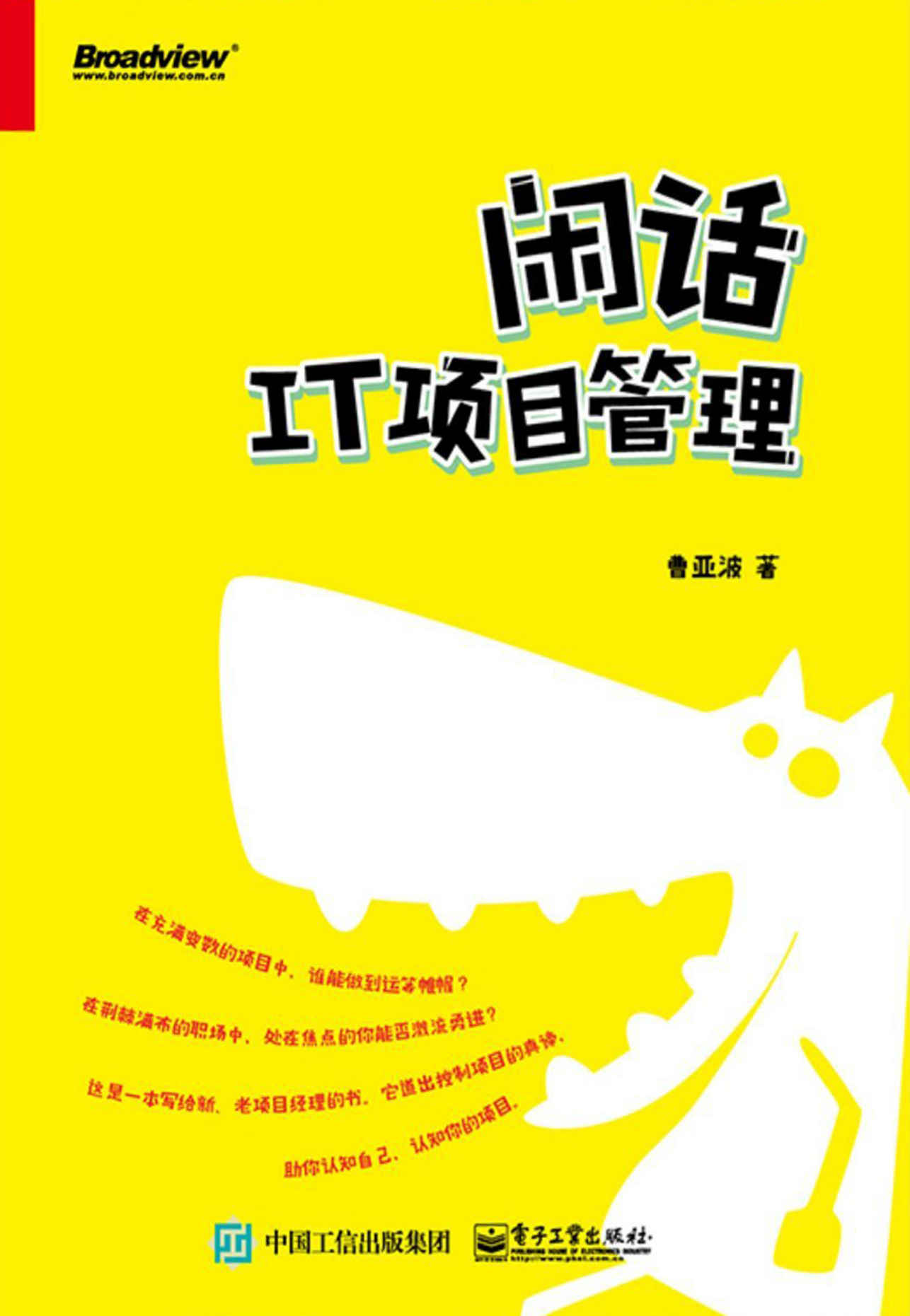 闲话IT项目管理