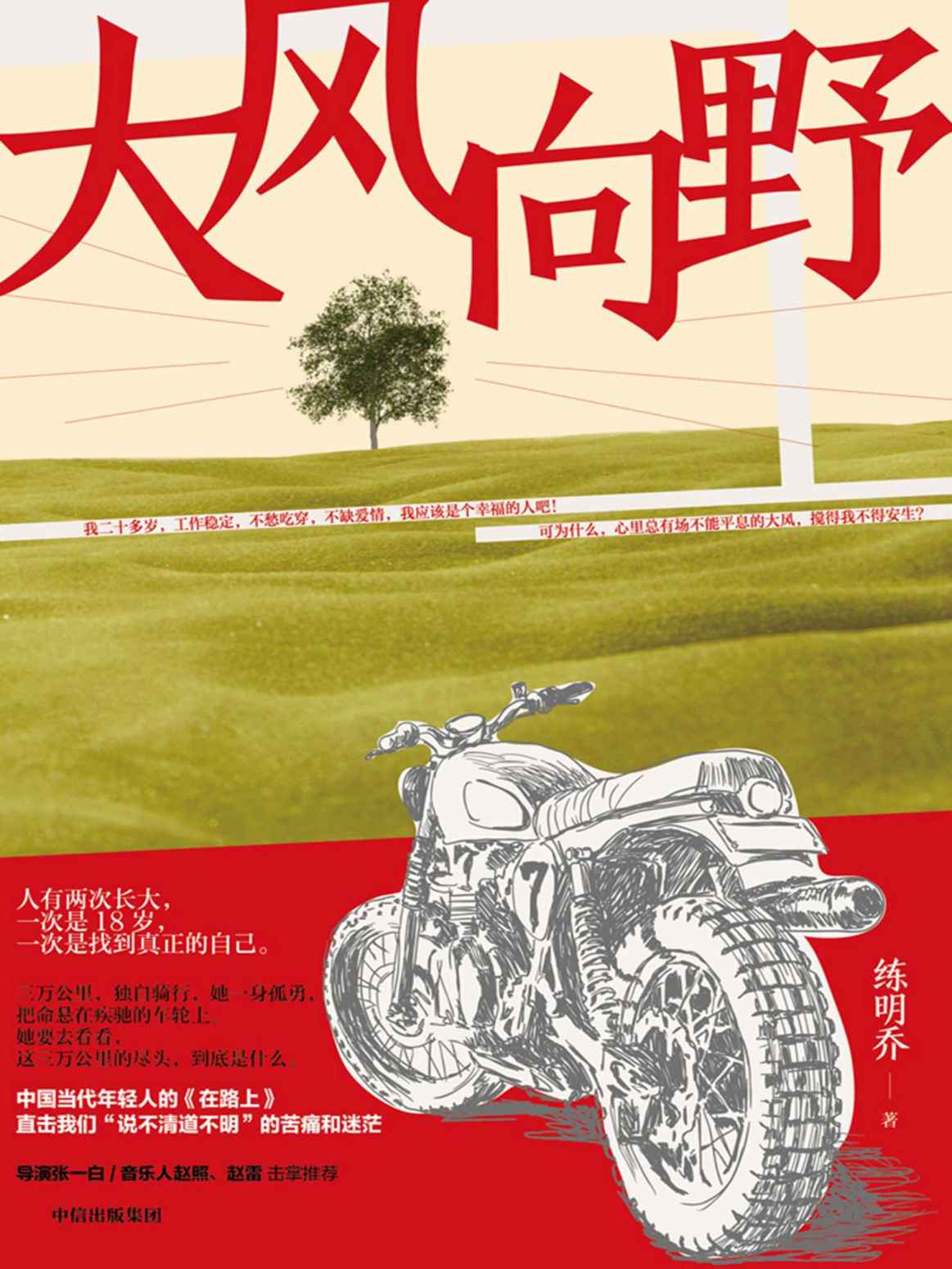 大风向野（这届年轻人在烦恼什么？有关孤独，抉择，爱情，自我。成长是一场大风，谁都无法逃脱.张一白、赵照、赵雷力荐！)