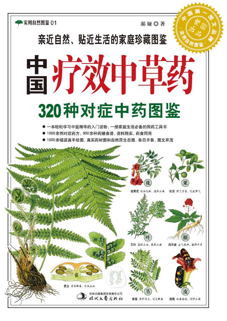 中国疗效中草药:320种对症中药图鉴 (紫图书馆·实用自然图鉴：01)