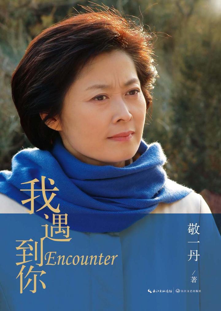 我遇到你(央视名嘴退休后出书，首度袒露心路历程，讲述27年央视奋斗生涯。直面敏感话题，冷静反思《焦点访谈》、《感动中国》等央视王牌栏目得失，犀利兼具温情的文字勾勒出敬一丹眼中的时代真相。)