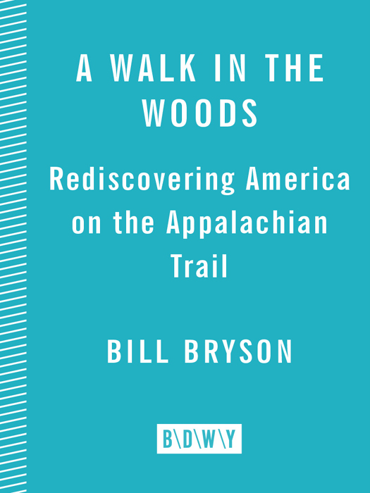 A Walk in the Woods