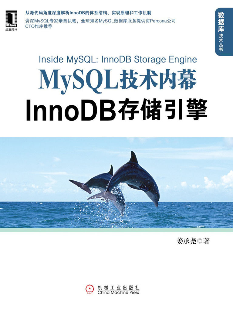 MySQL技术内幕:InnoDB存储引擎 (数据库技术丛书)