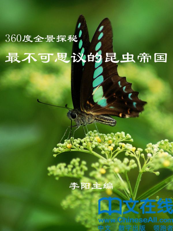 360度全景探秘:最不可思议的昆虫帝国 (374度全景探秘)