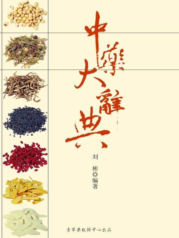 中药大辞典 (中华实用方剂大典丛书)
