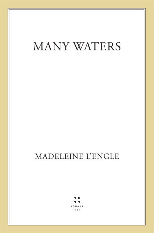 Many Waters (A Wrinkle in Time Quintet Book 4)