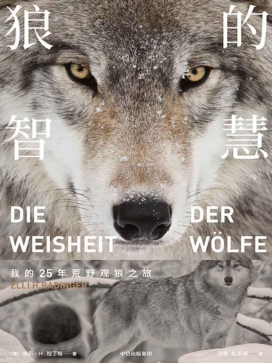 狼的智慧（实地观察的野生动物世界。真实的狼，并非古老文化中宣扬的那样凶险、残暴，反而有着诸多值得人类学习、重视的地方）