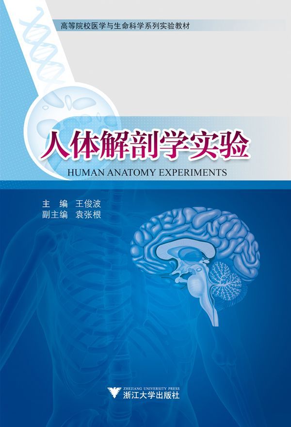 高等院校医学与生命科学系列实验教材:人体解剖学实验