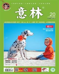 意林(2017年20期)