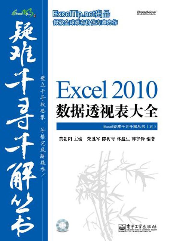 Excel 2010数据透视表大全 (Excel疑难千寻千解丛书)