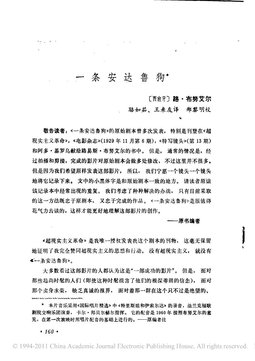 一条安达鲁狗