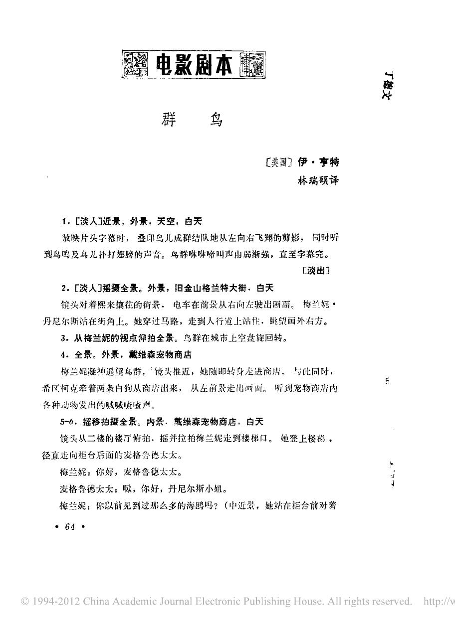 群鸟