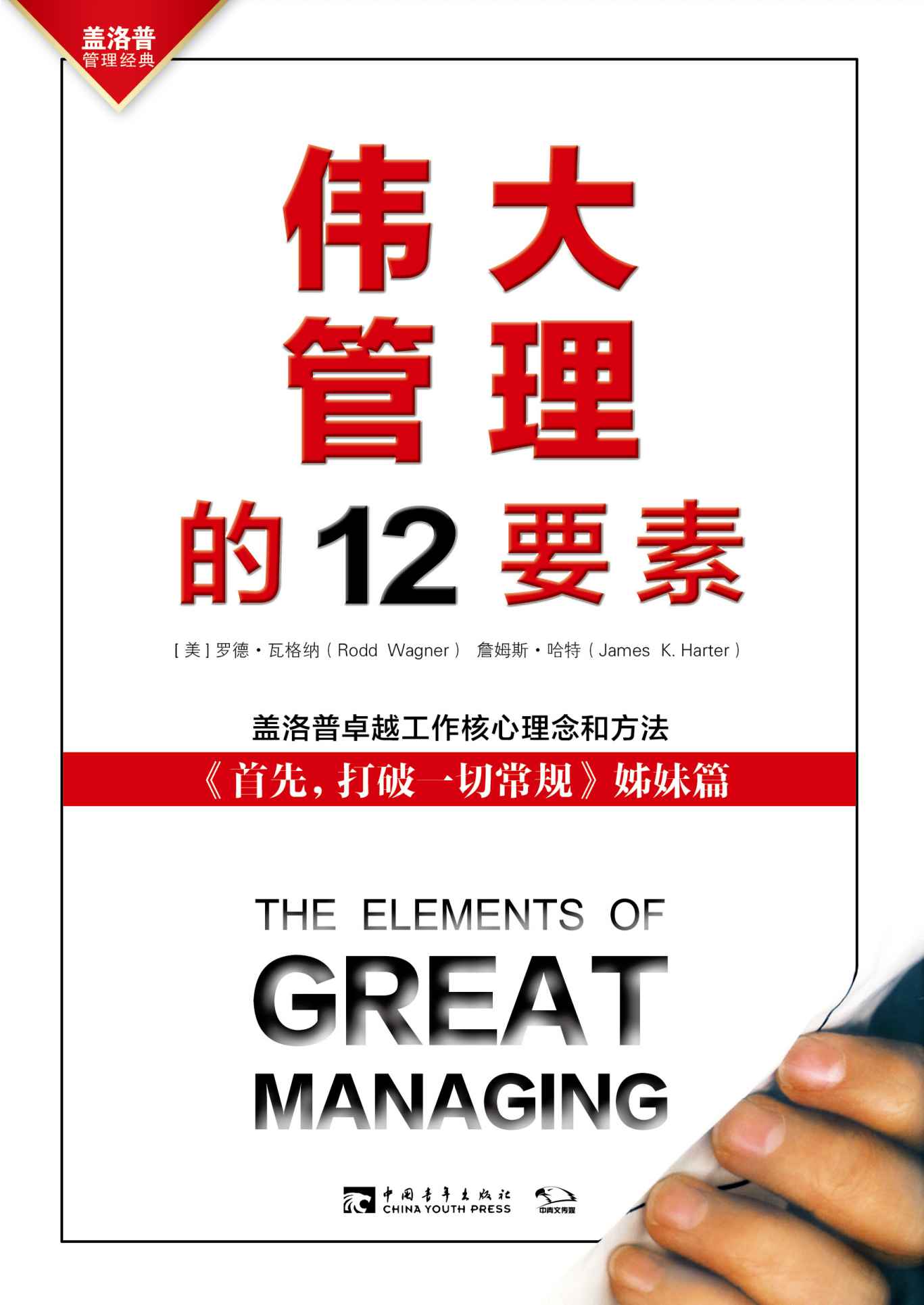 伟大管理的12要素：《首先，打破一切常规》姊妹篇 盖洛普问题分析与卓越工作法（企业员工、政府公务员、军队官兵培训读本）