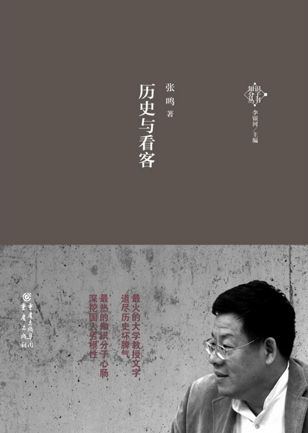 历史与看客