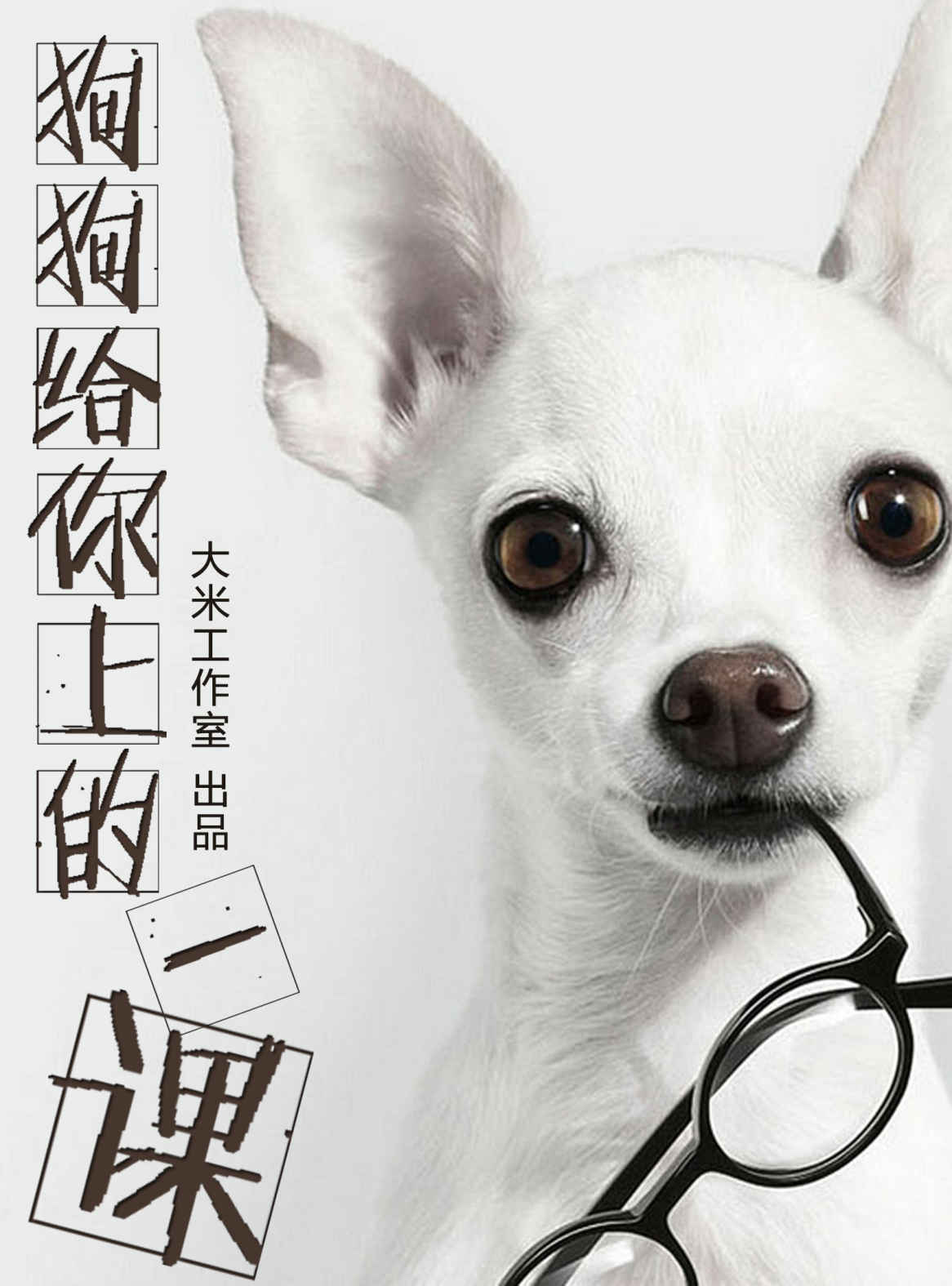 狗狗给你上的一课——20个高效工作小诀窍 (BookDNA职场书系)