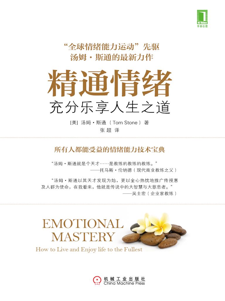 精通情绪：充分乐享人生之道