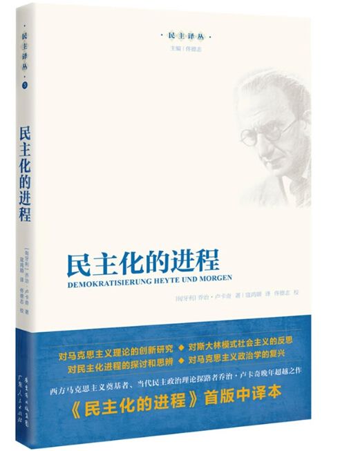 民主化的进程 (民主译丛)