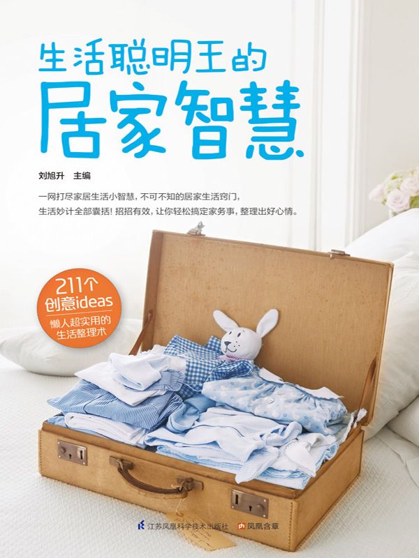 生活聪明王的居家智慧 (211个创意ideas，懒人超实用生活整理术)