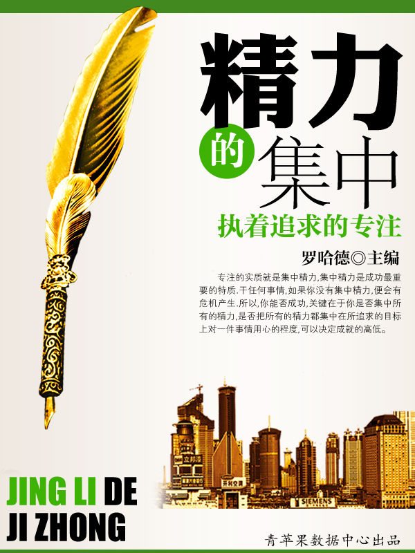 精力的集中 (大智慧成功方案教程)