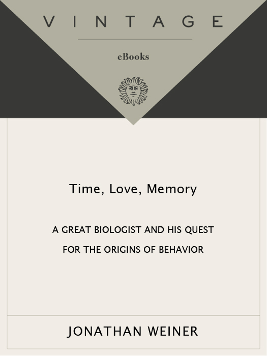 Time, Love , Memory