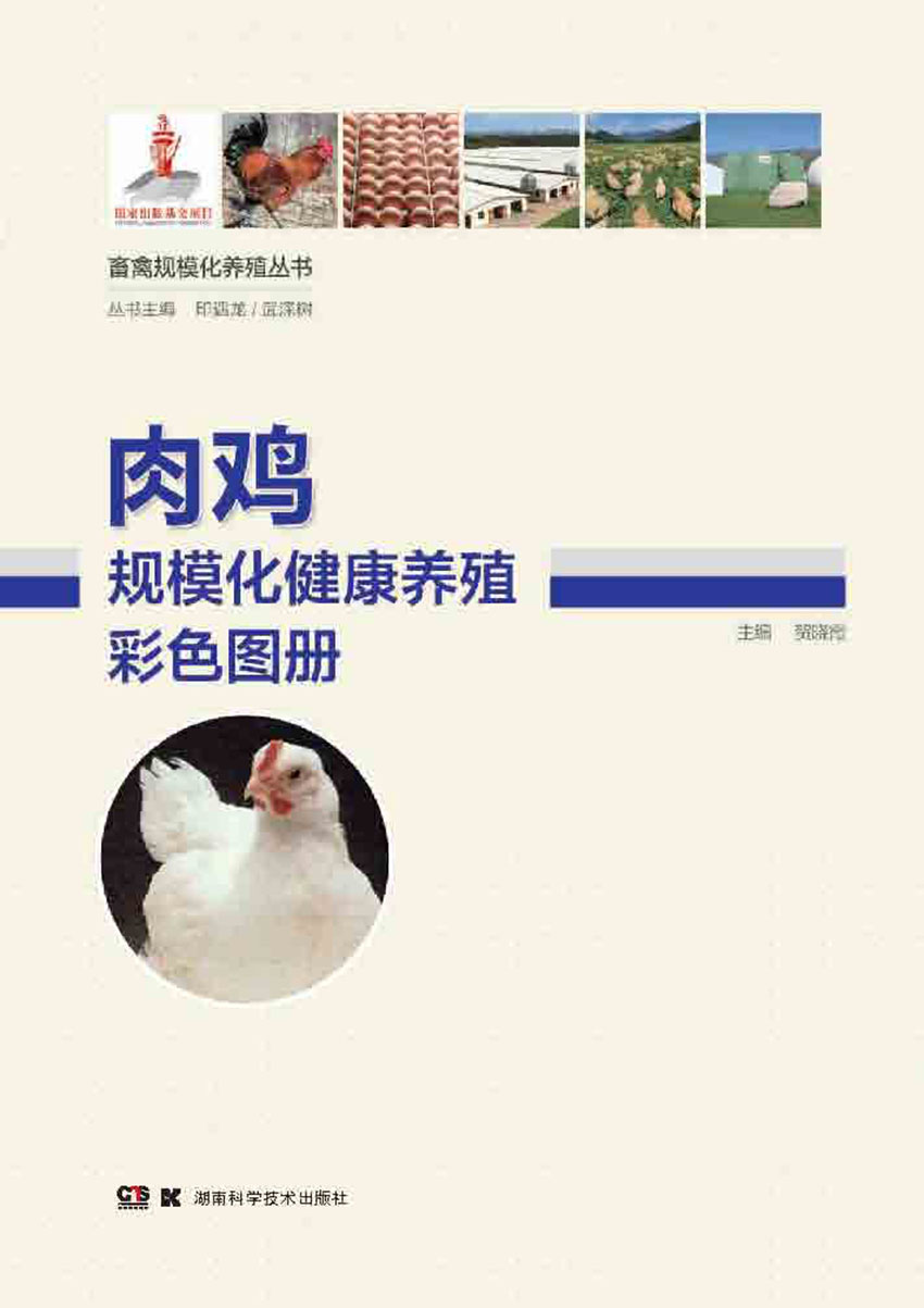 肉鸡规模化健康养殖彩色图册 (畜禽规模化养殖丛书)