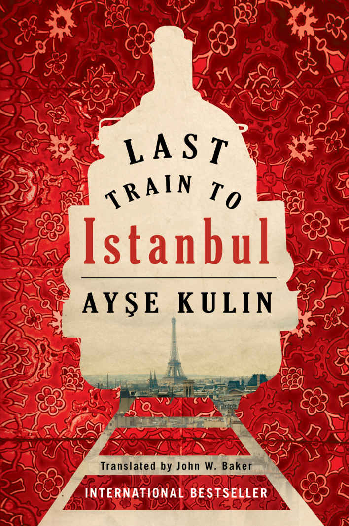 Last Train to Istanbul: A Novel