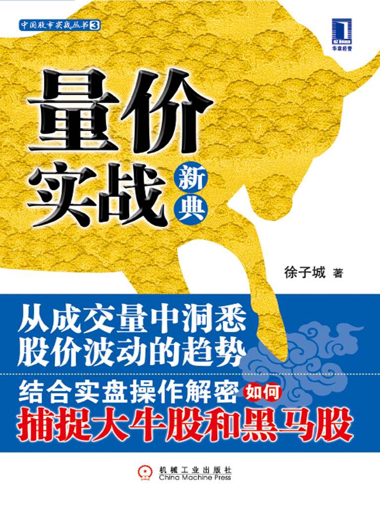 量价实战新典 (股市实战)