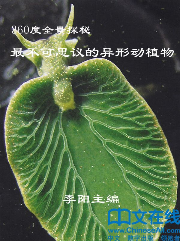360度全景探秘:最不可思议的异形动植物 (364度全景探秘)