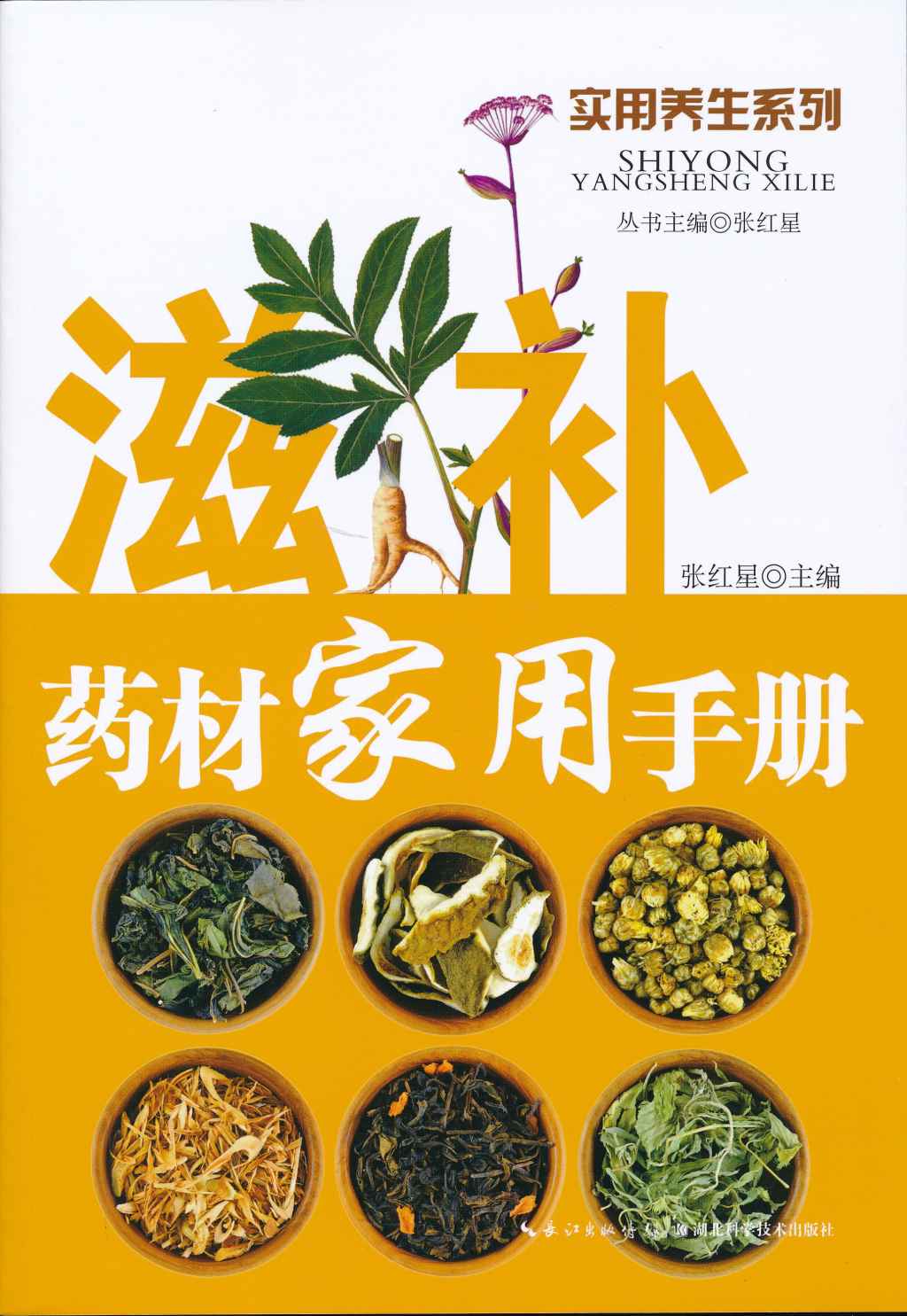 滋补药材家用手册 (实用养生系列)