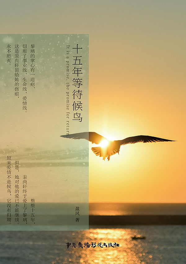 十五年等待候鸟 (大鱼文化畅销系列)