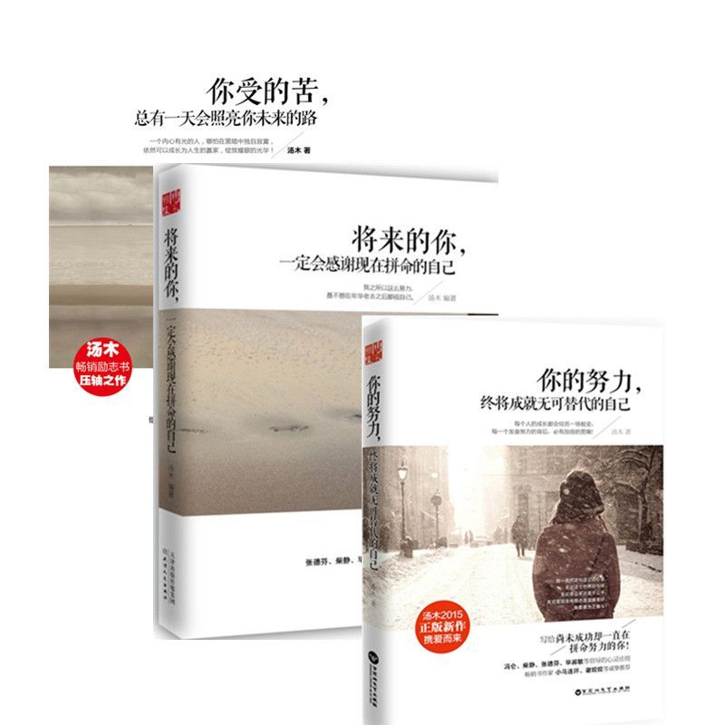 你受的苦，总有一天会照亮你未来的路+将来的你，一定会感谢现在拼命的自己+你的努力，终将成就无可替代的自己（套装共3册）