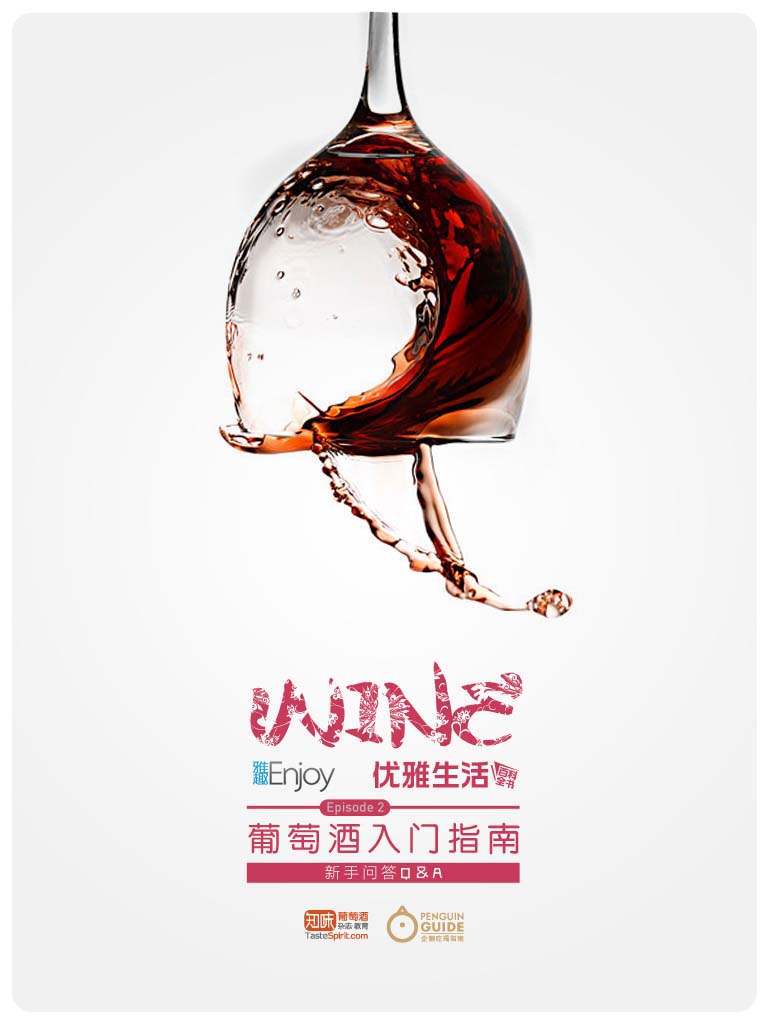 葡萄酒入门指南 (财新雅趣)