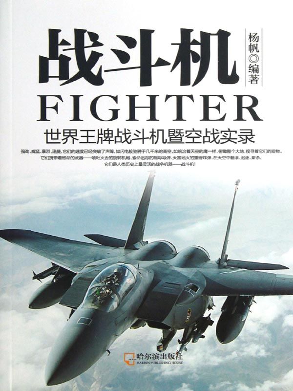 战斗机——世界王牌战斗机暨空战实录 (军事系列图书)