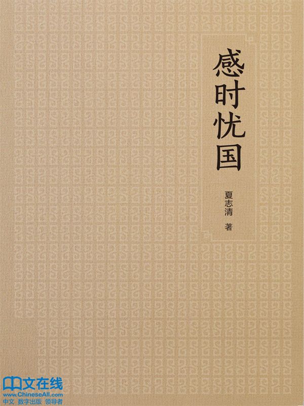感时忧国