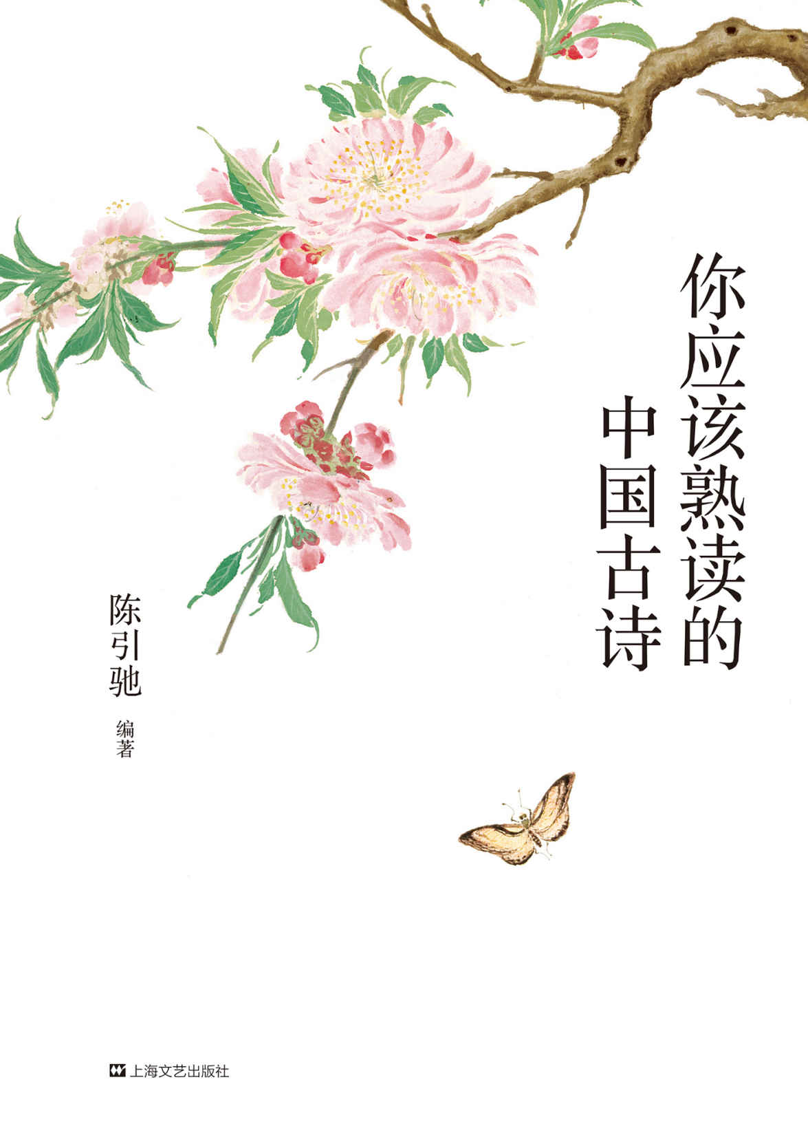你应该熟读的中国古诗(复旦大学中文系主任陈引驰教授倾力编著，精辟导读，优美赏析，轻松熟读名篇佳作)