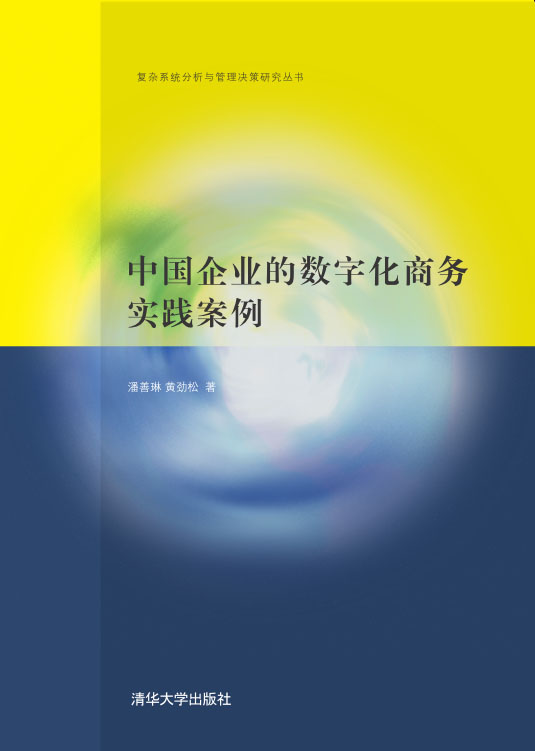 中国企业的数字化商务实践案例 (复杂系统分析与管理决策研究丛书)