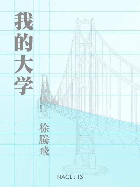 我的大学：知乎徐腾飞自选集 (知乎「盐」系列)
