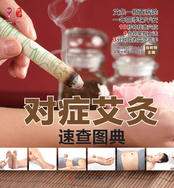 对症艾灸速查图典