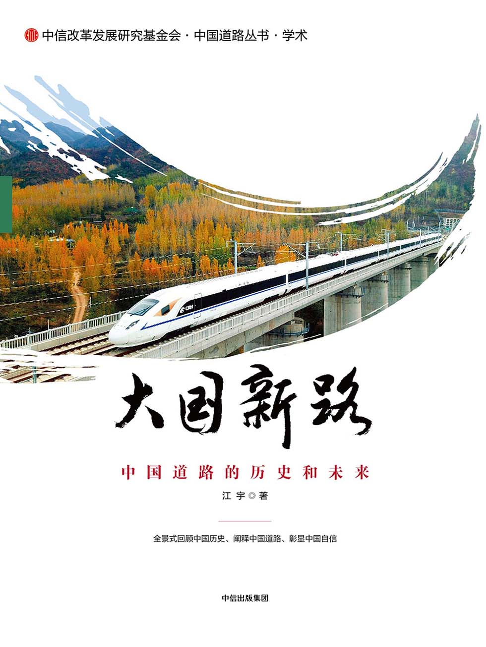 大国新路：中国道路的历史和未来