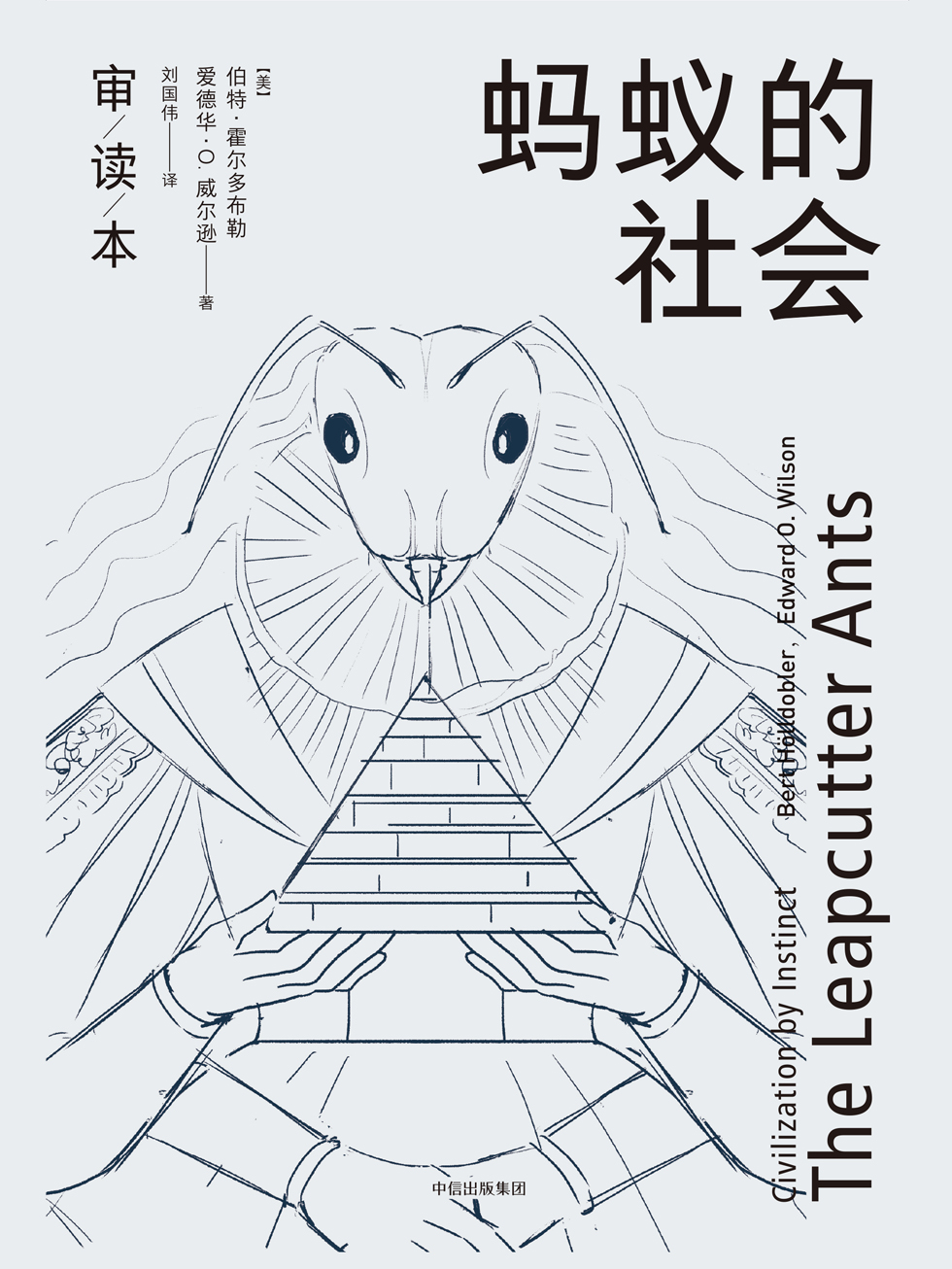 蚂蚁的社会