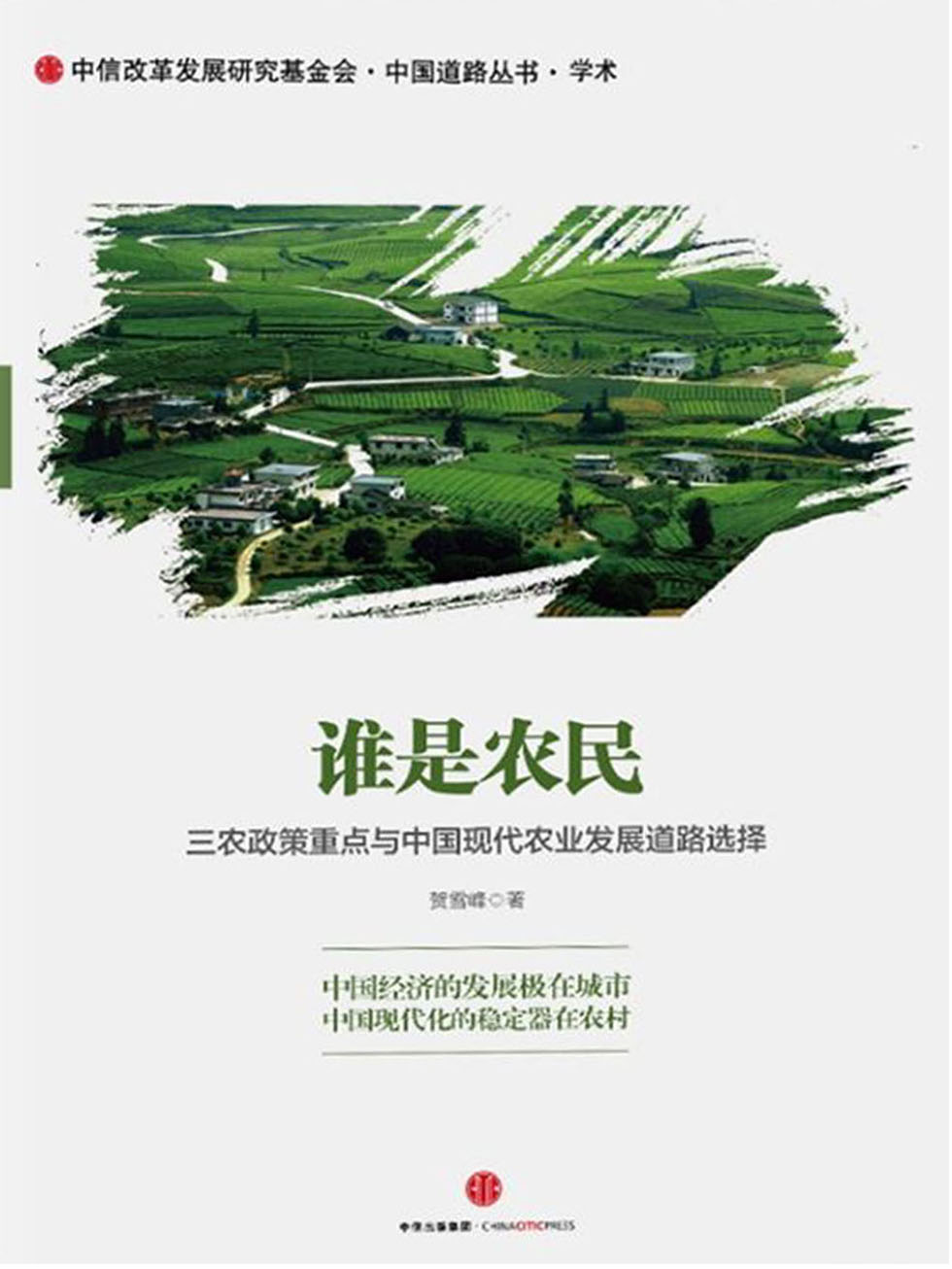 谁是农民：三农政策重点与中国现代农业发展道路选择（大字本）