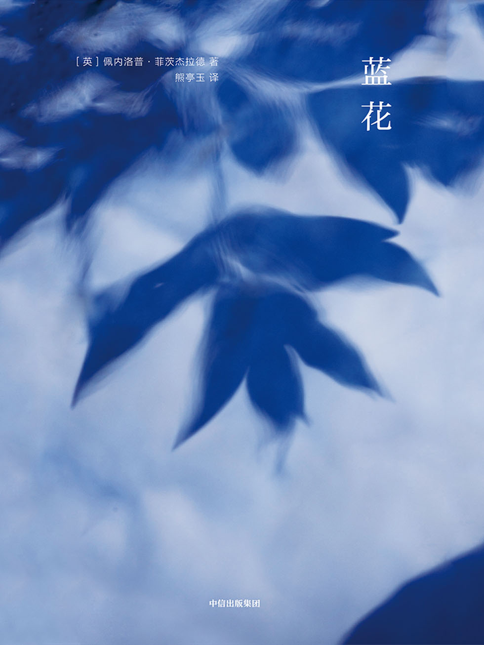 蓝花