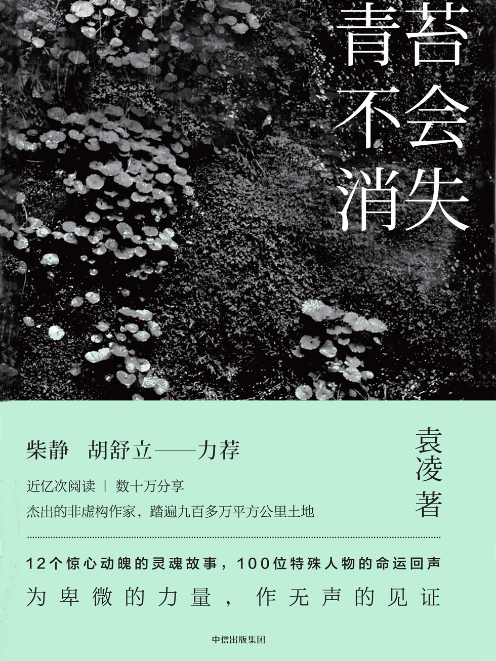 青苔不会消失