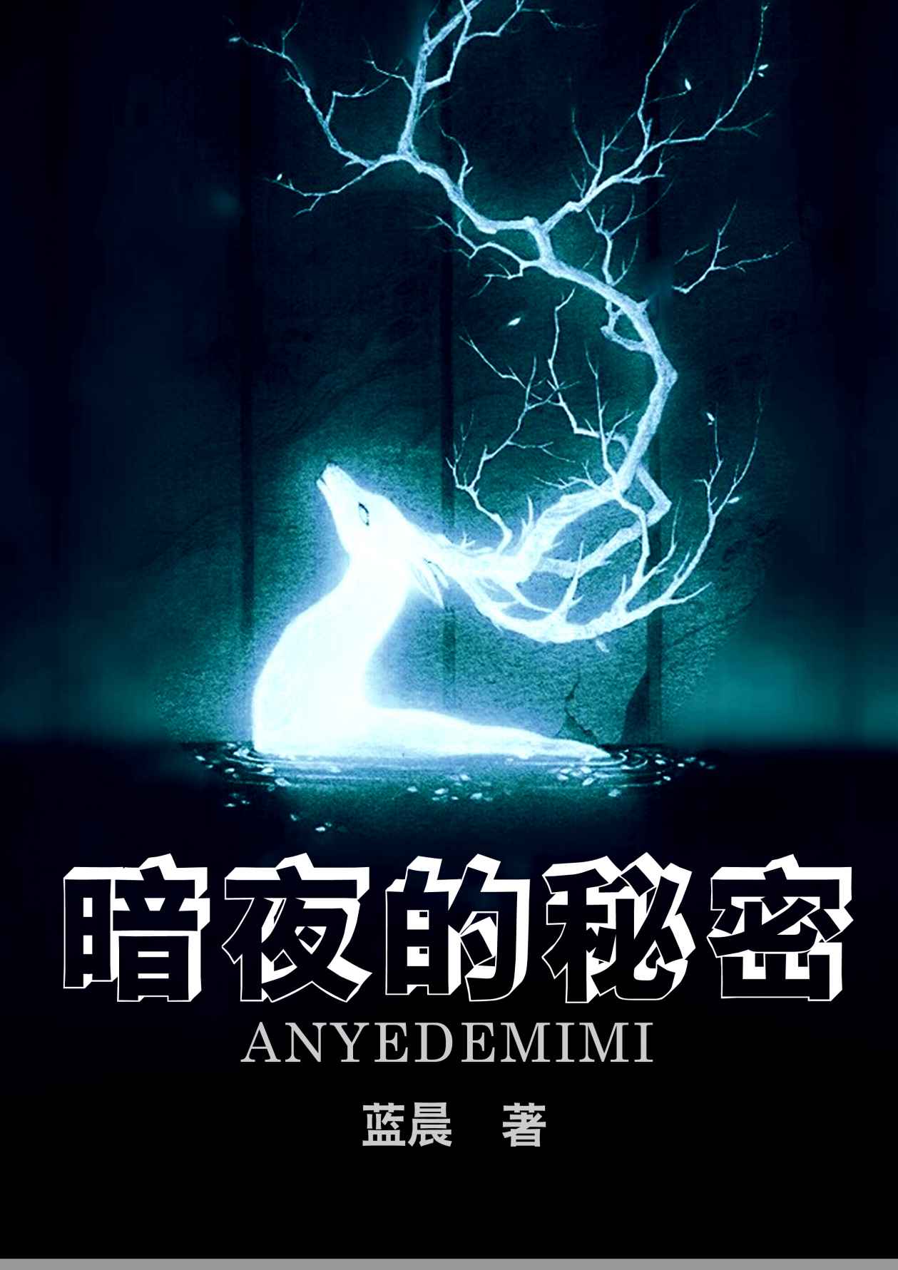 暗夜的秘密