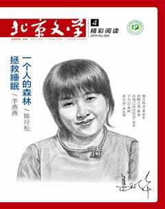 北京文学2019年04期