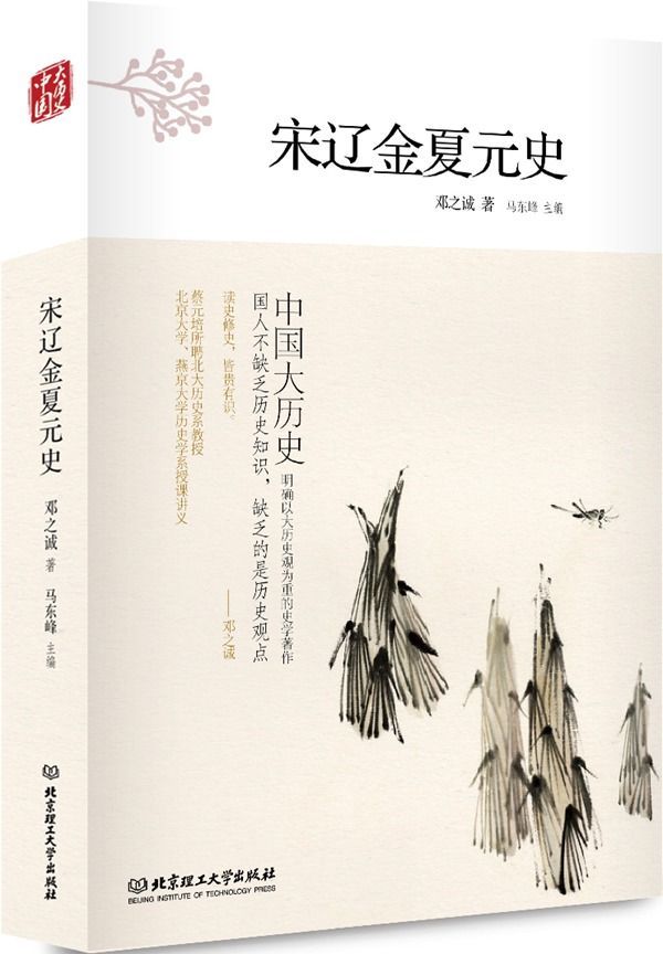 宋辽金夏元史 (中国大历史)